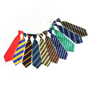 St. Colman's Saval Elastic Tie